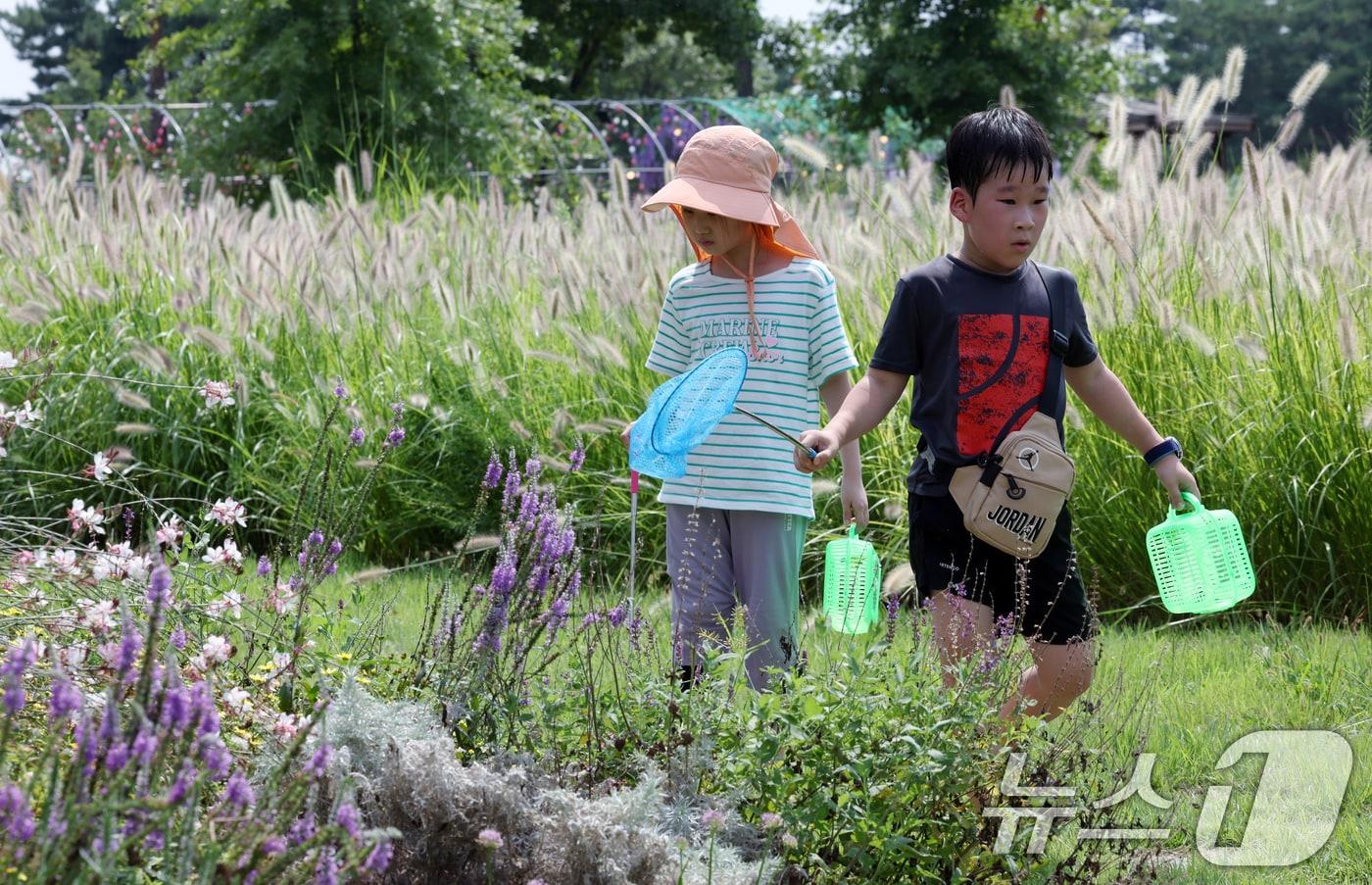 8일 오후 서울 강남구 세곡동 율현공원 둥지정원에서 열린 정원축제를 찾은 어린이들이 곤충 채집을 하고 있다. (사진은 기사 내용과 관련이 없습니다) 2024.9.8/뉴스1 ⓒ News1 박정호 기자