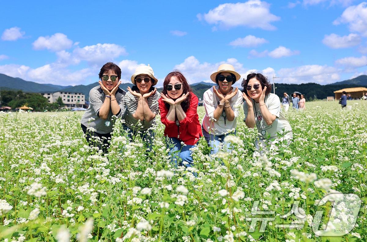 본문 이미지 - 작년 평창효석문화제 자료 사진. &#40;재판매 및 DB금지&#41;/뉴스1