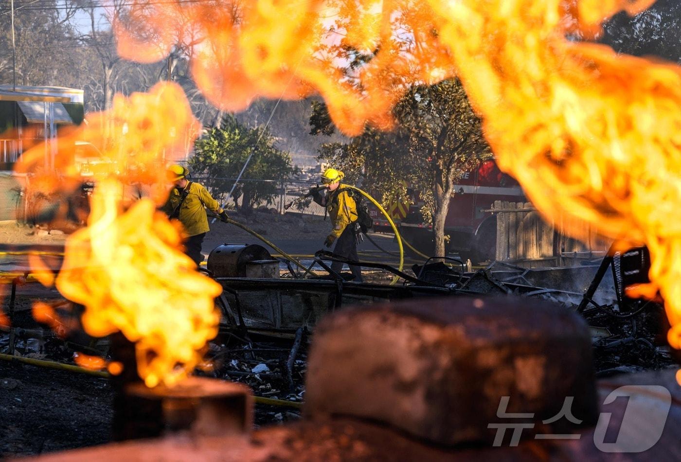 8일 (현지시간) 보일스 산불이 발생한 캘리포니아주 클리어레이크에서 불길에 휩싸인 주택을 소방대원이 진화 작업을 하고 있다. 2024.09.09 ⓒ AFP=뉴스1 ⓒ News1 우동명 기자