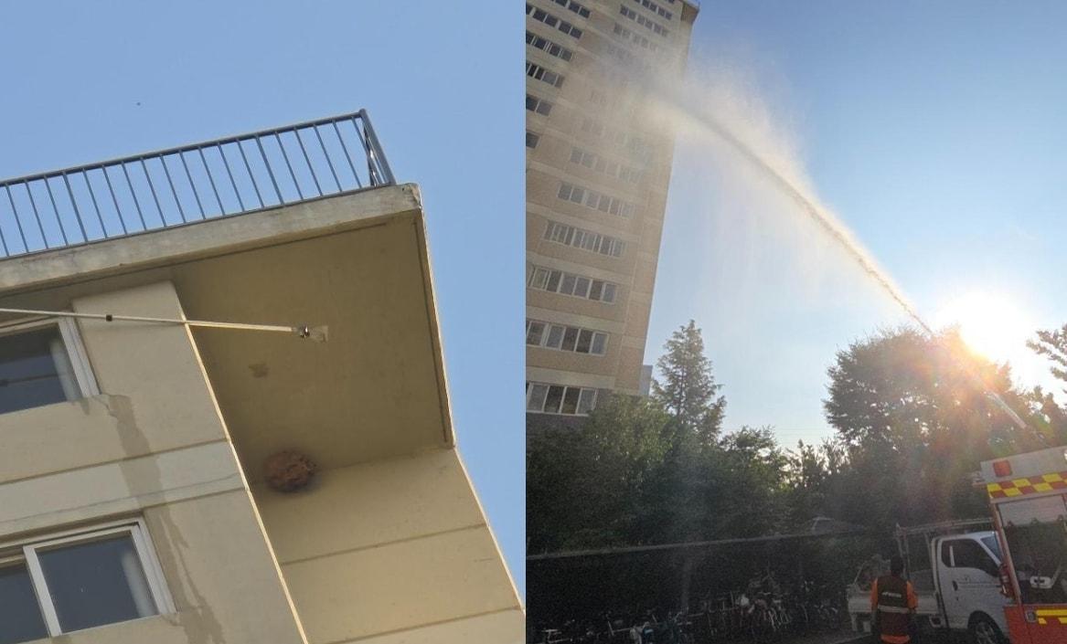 본문 이미지 - (온라인 커뮤니티 '보배드림' 갈무리)