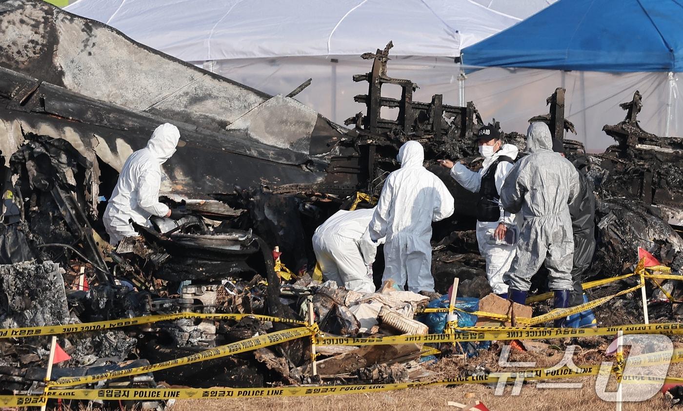 올해 1월 전남 무안국제공항 제주항공 여객기 참사 현장에서 항공-철도 사고조사위원회 관계자들이 현장 감식을 하는 모습. 2025.1.1/뉴스1 ⓒ News1 김성진 기자