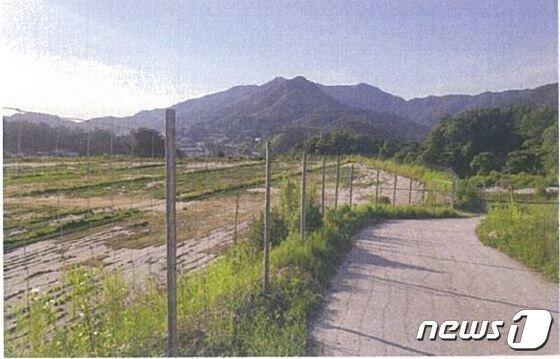 본문 이미지 -  10일 충북 충주시가 올해도 유해야생동물 상설포획단을 운영한다고 밝혔다. 사진은 야생동물 차단 울타리.(자료사진)/뉴스1