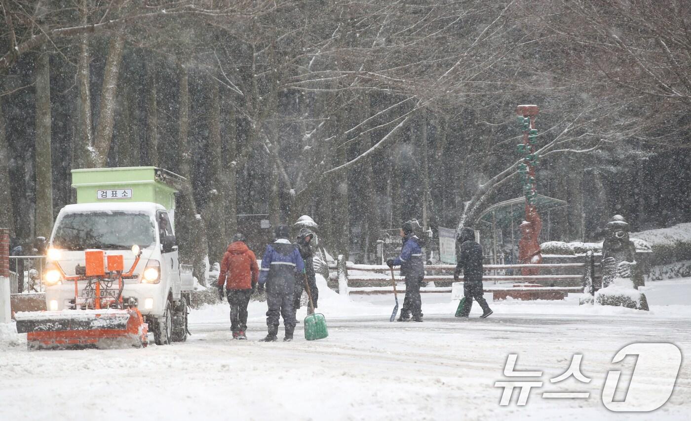 본문 이미지 -  10일 오전 제주시 봉개동 절물자연휴양림에서 관계자들이 제설 작업을 하고 있다. 2025.1.10/뉴스1 ⓒ News1 오현지 기자