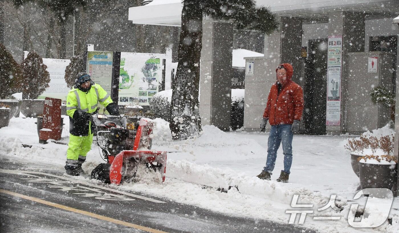 본문 이미지 - 제주시 봉개동 노루생태관찰원에서 관계자들이 제설 작업을 하고 있다. 2025.1.10/뉴스1 ⓒ News1 오현지 기자