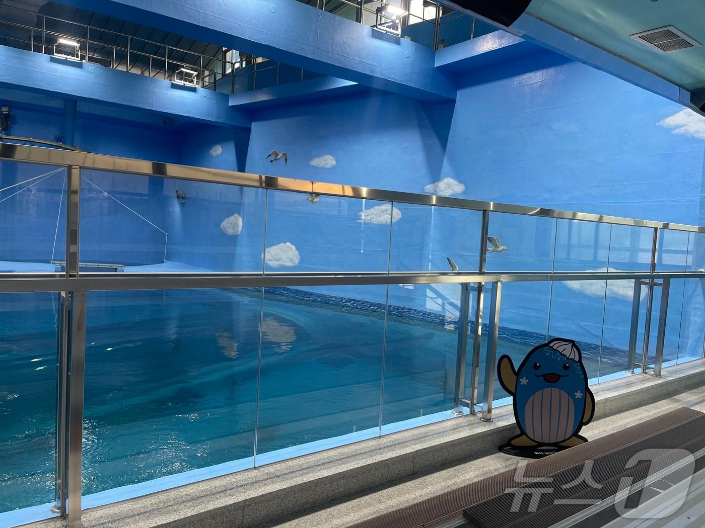 본문 이미지 - 울산남구도시관리공단이 수족관 개선 공사로 임시 휴관했던 고래생태체험관을 오는 14일부터 재개관 한다고 10일 밝혔다.(울산 남구 제공)