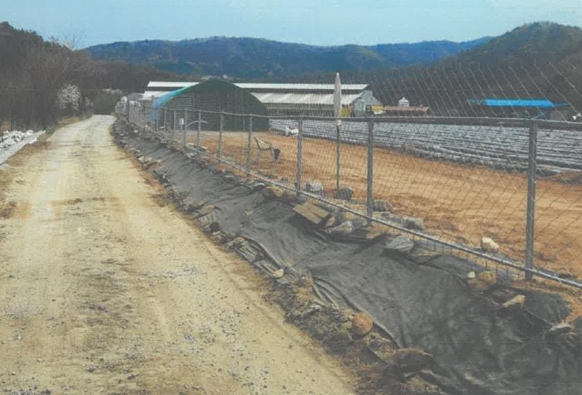 본문 이미지 - 예생동물 예방 철선울타리.