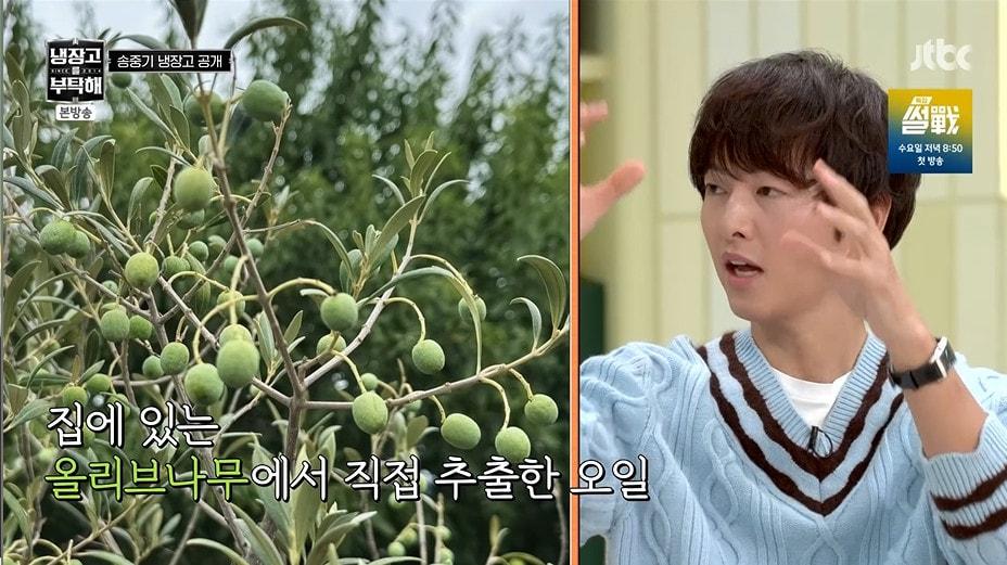 본문 이미지 - JTBC '냉장고를 부탁해 시즌2'