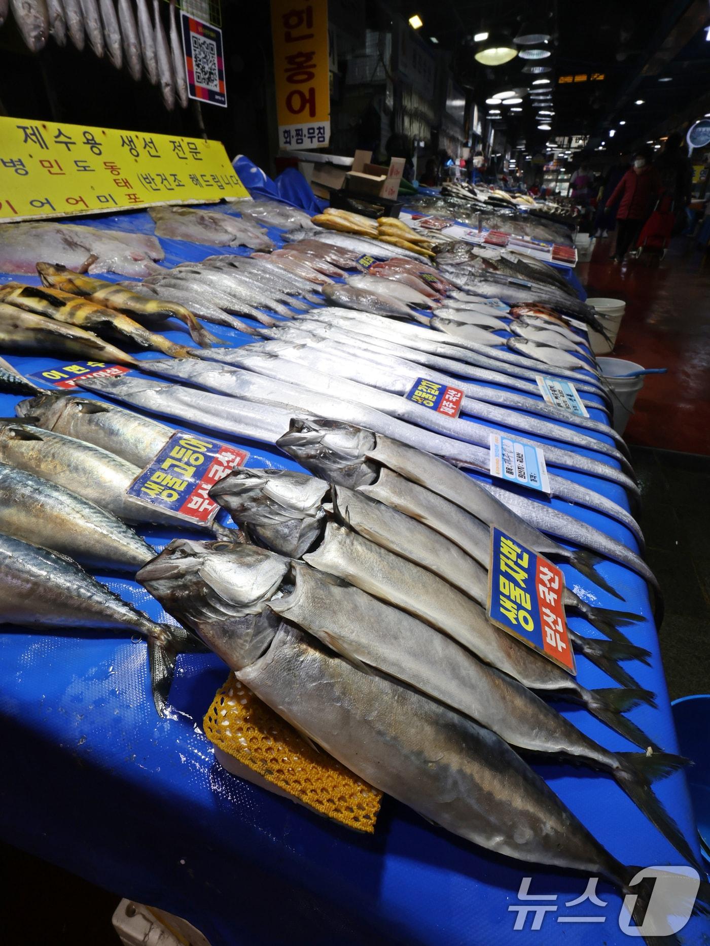 본문 이미지 - 서울 마포구 마포농수산물시장에 고등어가 진열돼있다.(사진은 기사내용과 관련없음).2025.1.13/뉴스1 ⓒ News1 