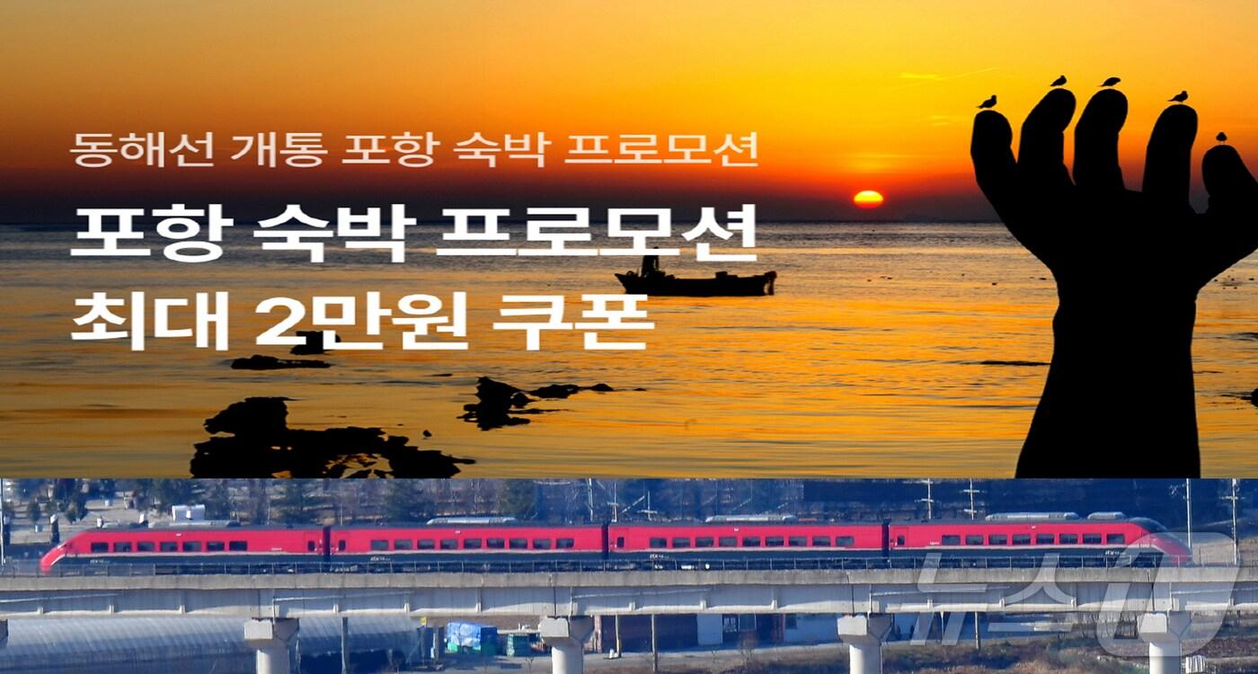 경북 포항시는 여가 플랫폼 야놀자와 손잡고 설 연휴동안 숙박 할인 프로그램을 진행한다. 2025.1.13/뉴스1