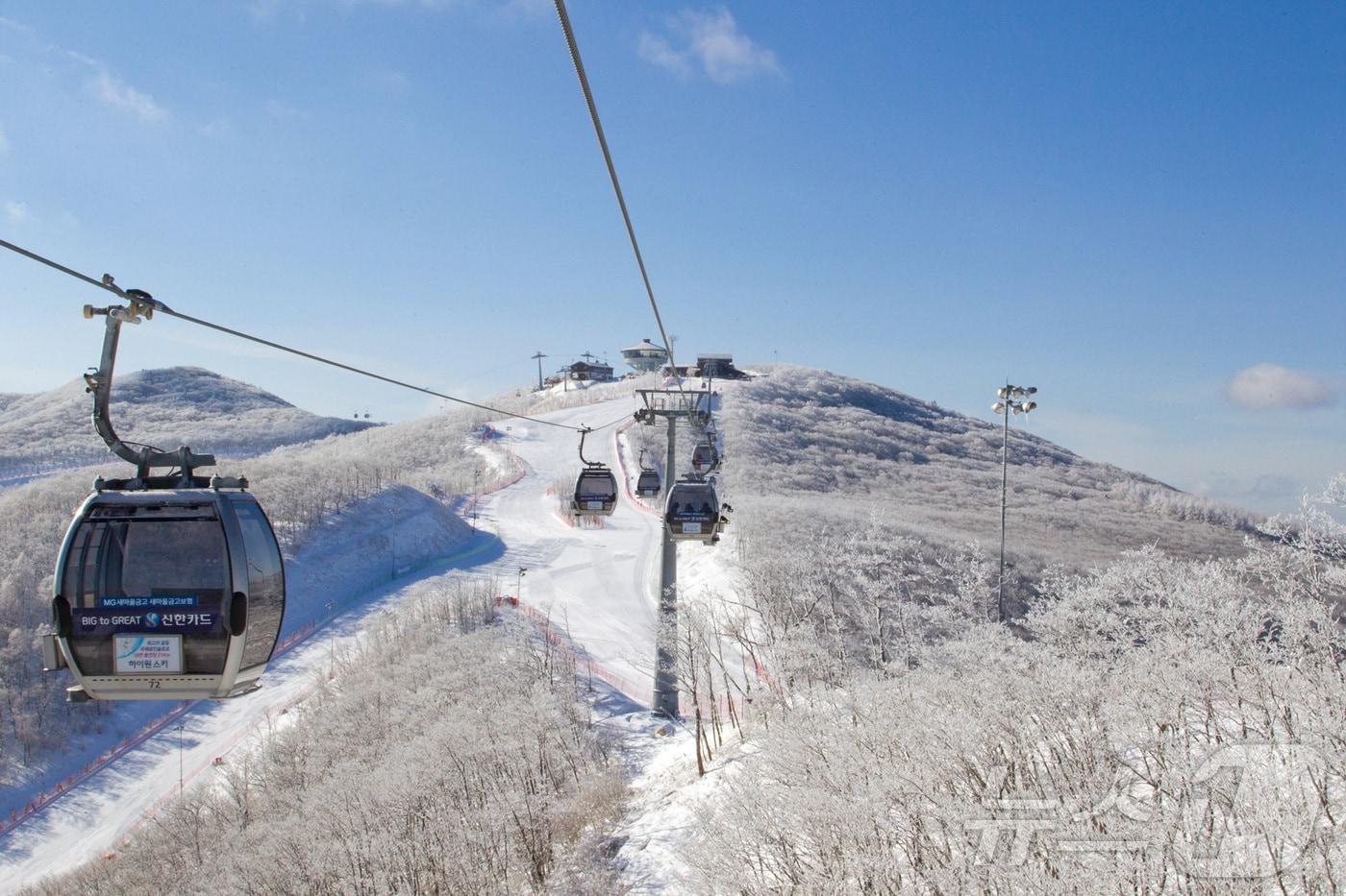 강원랜드가 운영하는 하이원리조트 스키장 자료 사진. &#40;뉴스1 DB&#41;