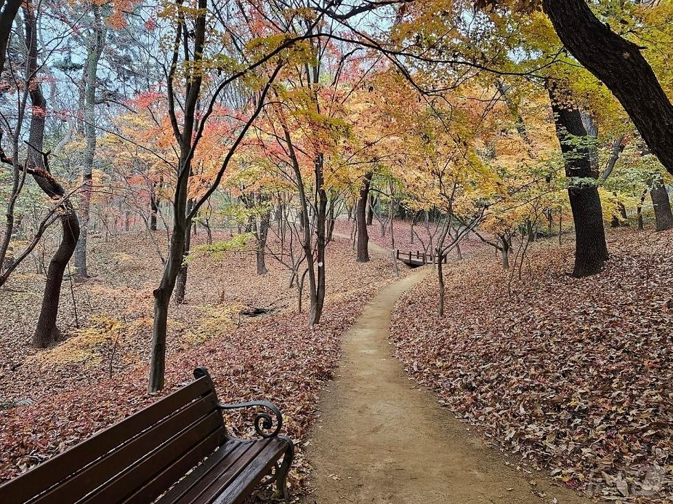 본문 이미지 - 대구 수성구가 조성한 범어공원 순환산책로 전경(대구 수성구 제공)