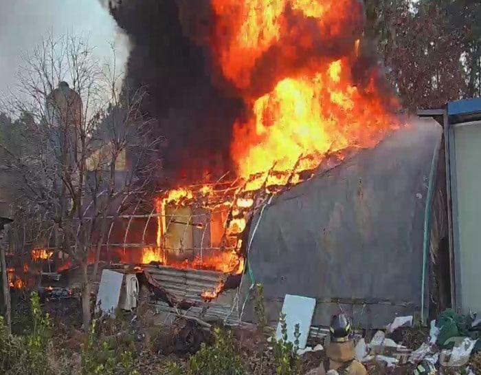 본문 이미지 - 14일 오전 9시 53분께 전북자치도 익산시 함열읍 한 비닐하우스에서 불이 났다.(전북소방 제공) 2025.1.14/뉴스1 