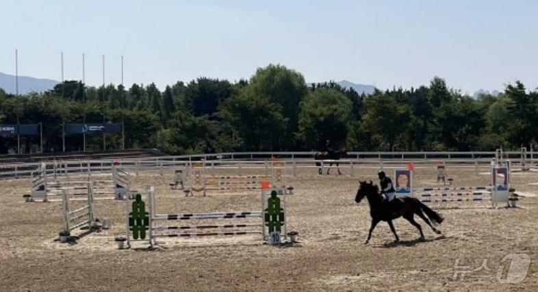 본문 이미지 - 드림파크 승마장 / 뉴스1