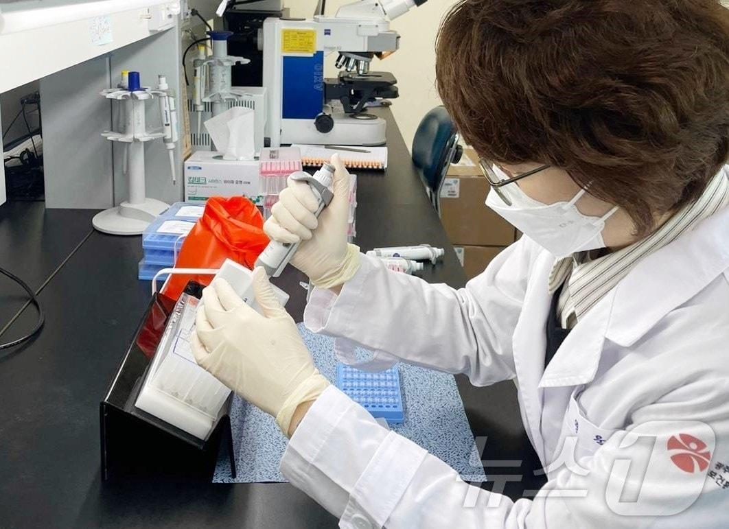 본문 이미지 - 광주시 보건환경연구원 원인병원체 분석.(광주시 제공)/뉴스1 