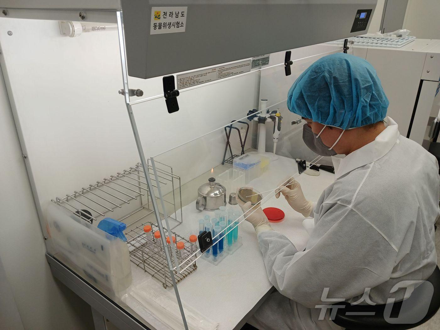 본문 이미지 - 축산물 검사.(전남도 제공) 2025.1.15/뉴스1