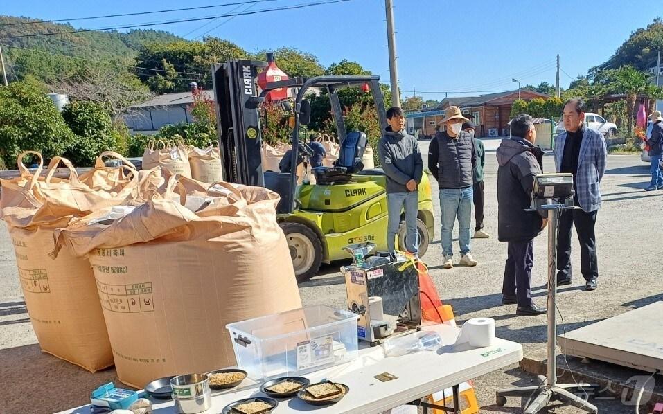 본문 이미지 - 김희수 군수(오른쪽) 등 진도군 관계자들이 수매 현장 지도와 함께 농민들의 애로사항을 청취하고 있다.(진도군 제공)/뉴스1 