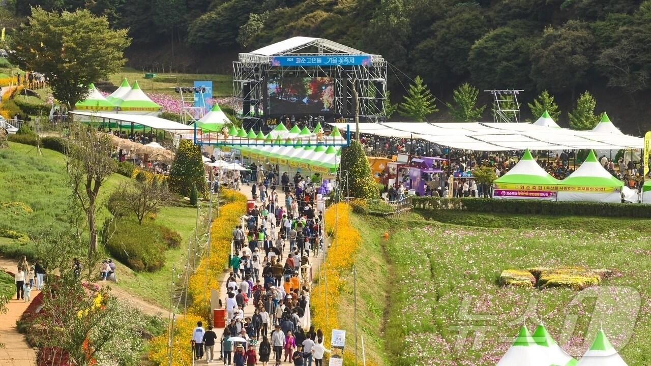 본문 이미지 - 2024 화순 고인돌 가을꽃 축제 ⓒ News1