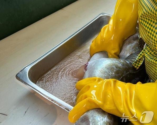 본문 이미지 - 대구 수정란을 만드는 모습(경남도 제공)