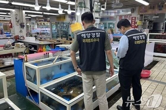 본문 이미지 - 수산시장 단속 모습. (보령해경)/뉴스1