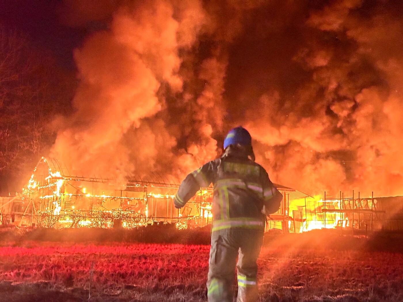 본문 이미지 - 화재 현장. (경기도소방재난본부 제공) 2025.1.16/뉴스1