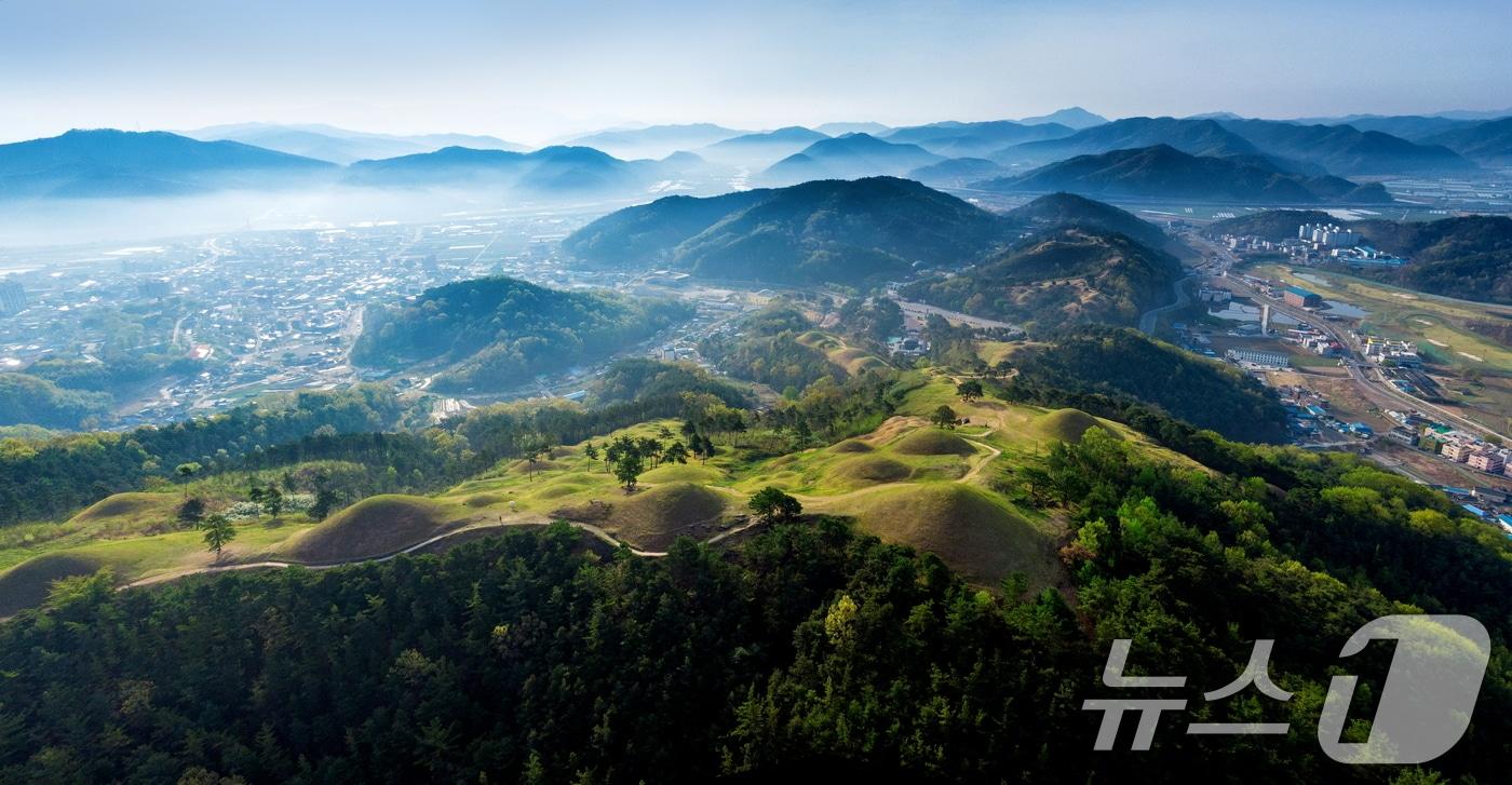 고령 지산동 고분군 전경&#40;고령군 제공&#41;/뉴스1 ⓒ News1 정우용 기자