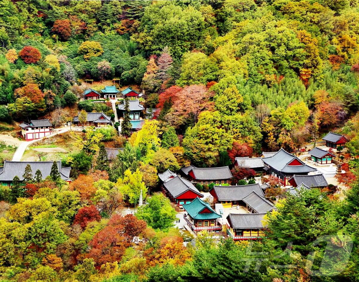 본문 이미지 - 쌍계사 전경.(하동군 제공)