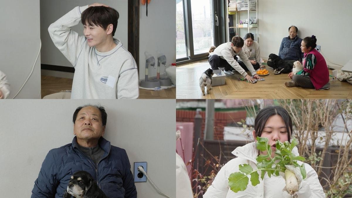 본문 이미지 - KBS 2TV