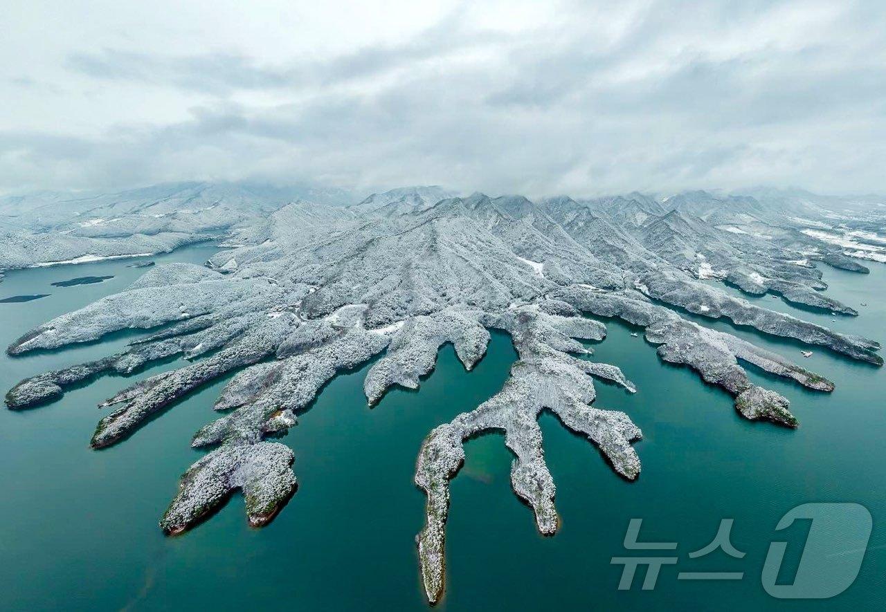 본문 이미지 - 충주호 악어섬 겨울 풍경.(충주시 제공)/뉴스1