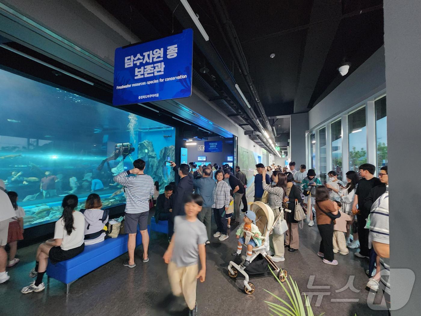 본문 이미지 - 충북아쿠아리움