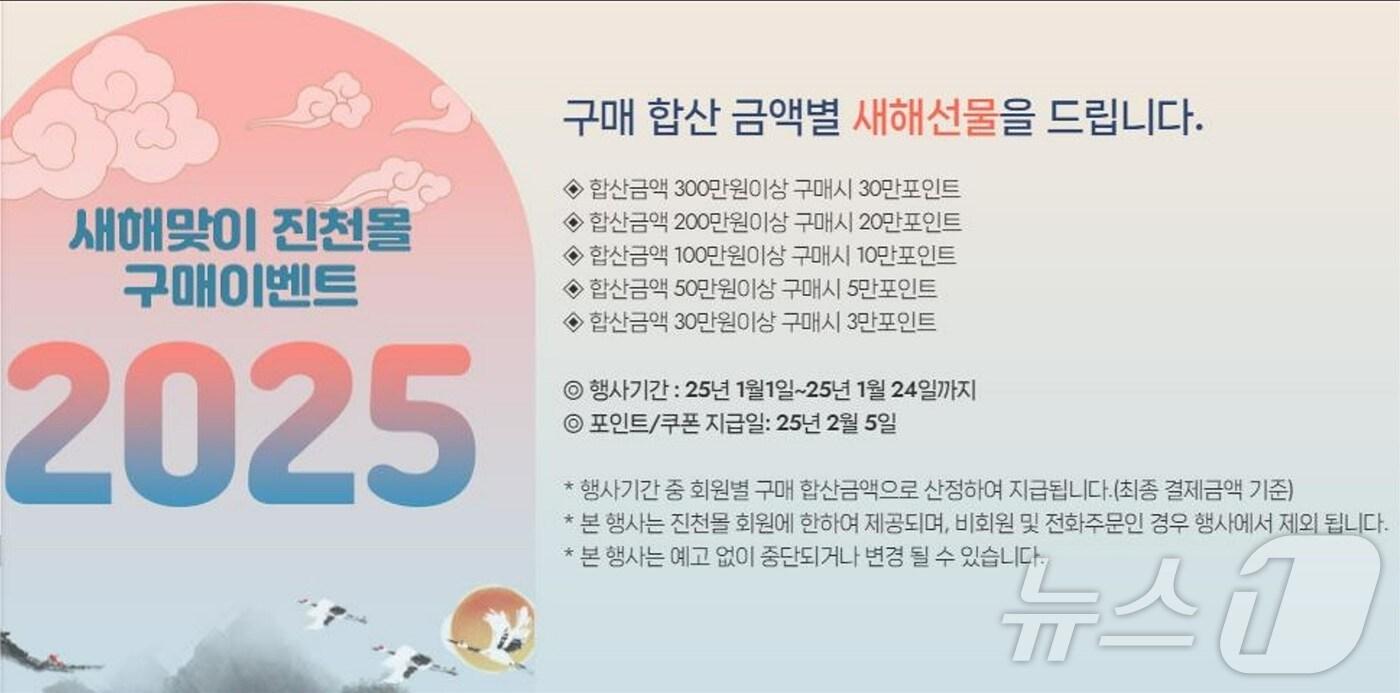 본문 이미지 - 새해 맞이 할인 이벤트를 진행하고 있는 진천몰 누리집/뉴스1