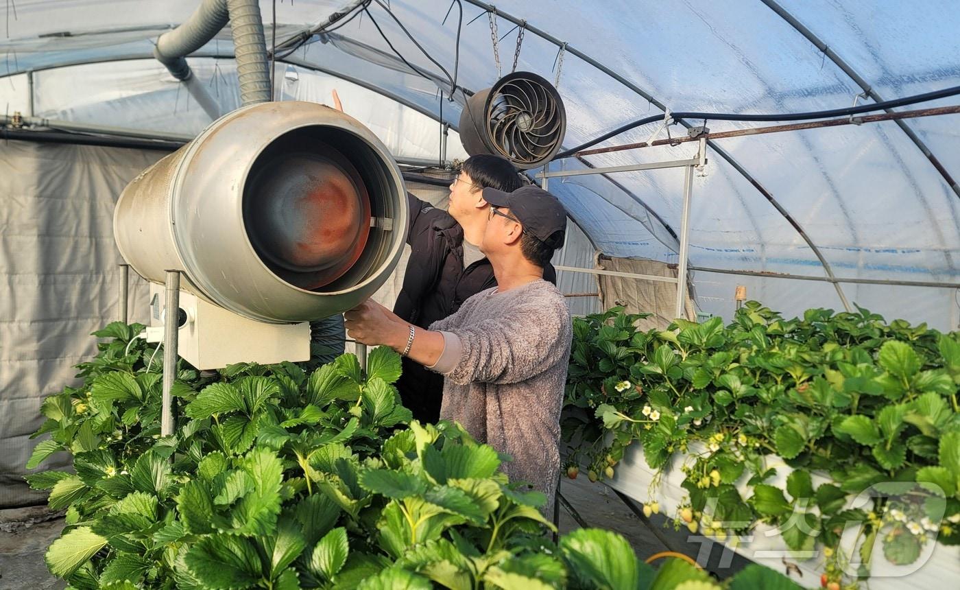 겨울철 하우스 내부 난방기 작동 여부를 점검하고 있다. (계룡시 제공) /뉴스1