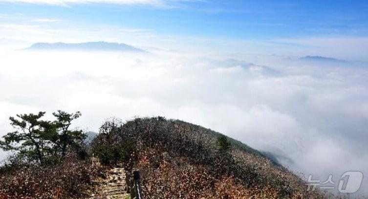 본문 이미지 - 강원 영월군 영월읍 봉래산 자료 사진. &#40;영월군 홈페이지 갈무리&#41; 2025.1.18/뉴스1