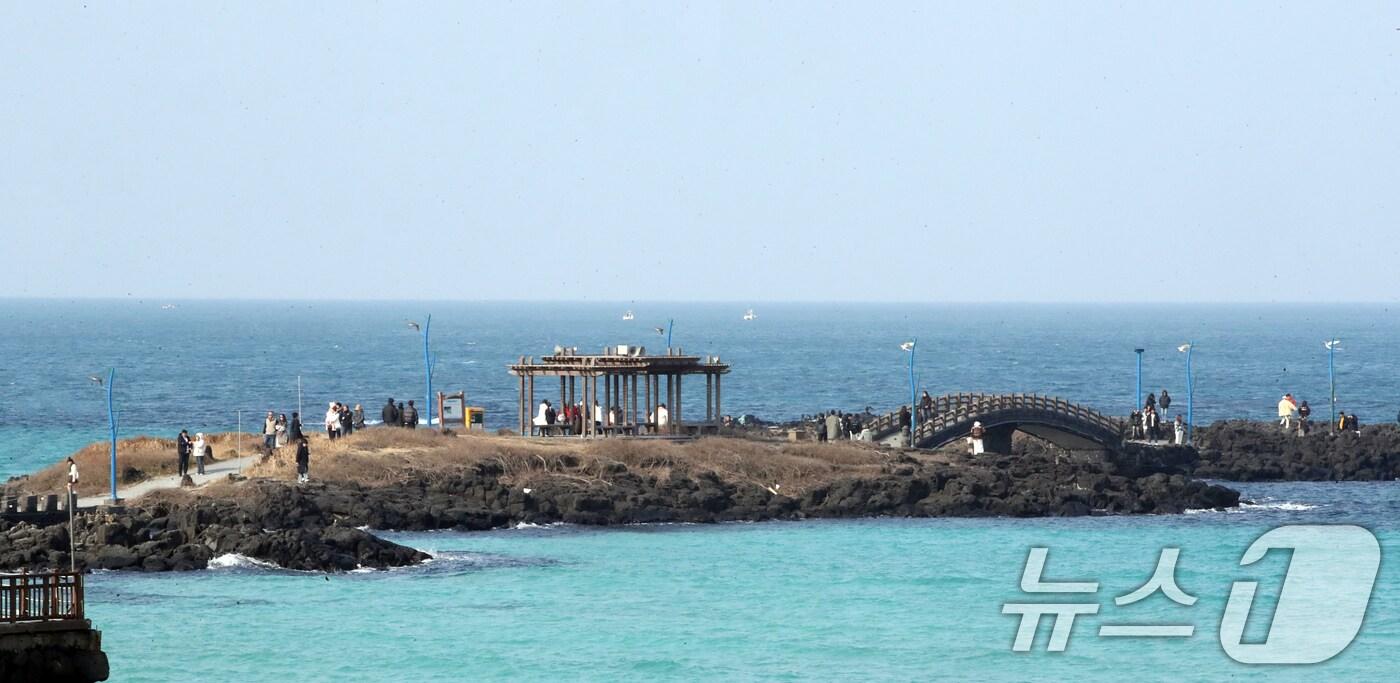2일 오후 제주 조천읍 함덕해수욕장에서 도민과 관광객들이 겨울 바다 정취를 즐기고 있다. 2025.1.2/뉴스1 ⓒ News1 오현지 기자