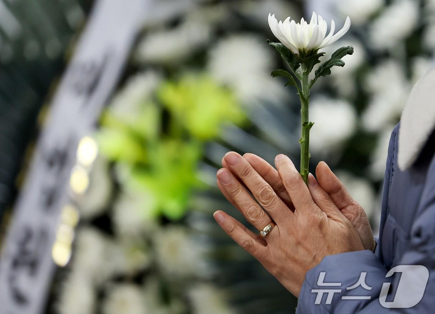 본문 이미지 - 2일 전남 무안군 무안국제공항에 마련된 제주항공 여객기 참사 희생자 합동분향소에서 한 조문객이 국화를 든 채 기도하고 있다. &#40;공동취재&#41; 2025.1.2/뉴스1 ⓒ News1 오대일 기자