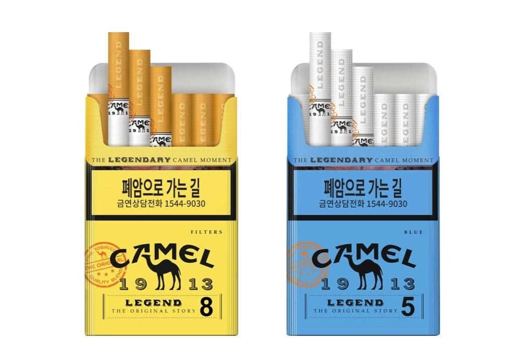 본문 이미지 - (JTI코리아 제공)