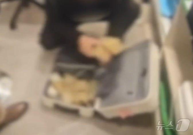 본문 이미지 - 지난 16일 제주시내 호텔에서 암호화폐 거래를 빌미로 벌어진 특수강도 사건를 수사하고 있는 경찰이 범행에 사용된 현금을 회수하고 있는 모습.(제주서부경찰서 제공)