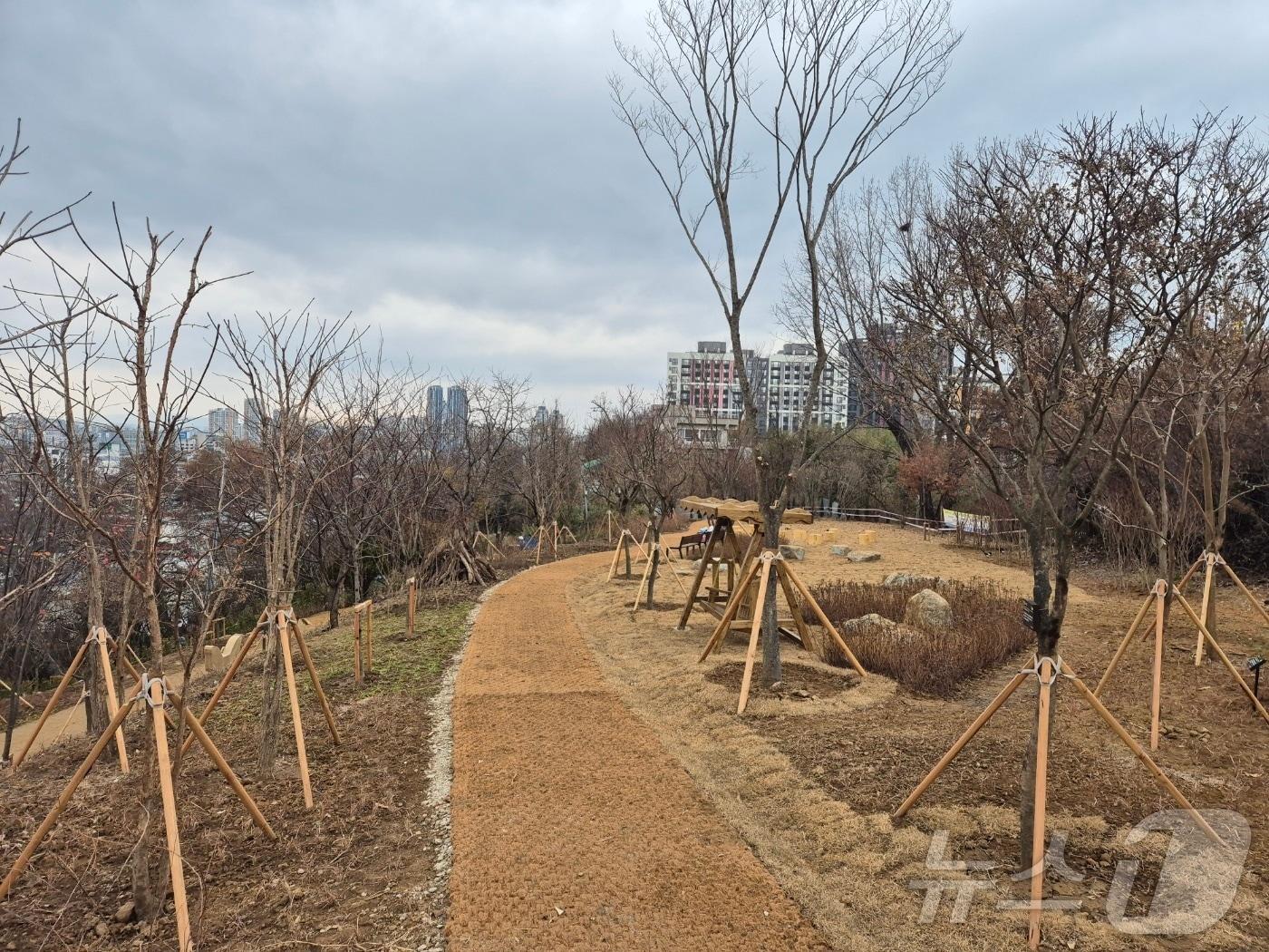 본문 이미지 - 복원된 광주 월산근린공원 전경.(광주시 제공)/뉴스1
