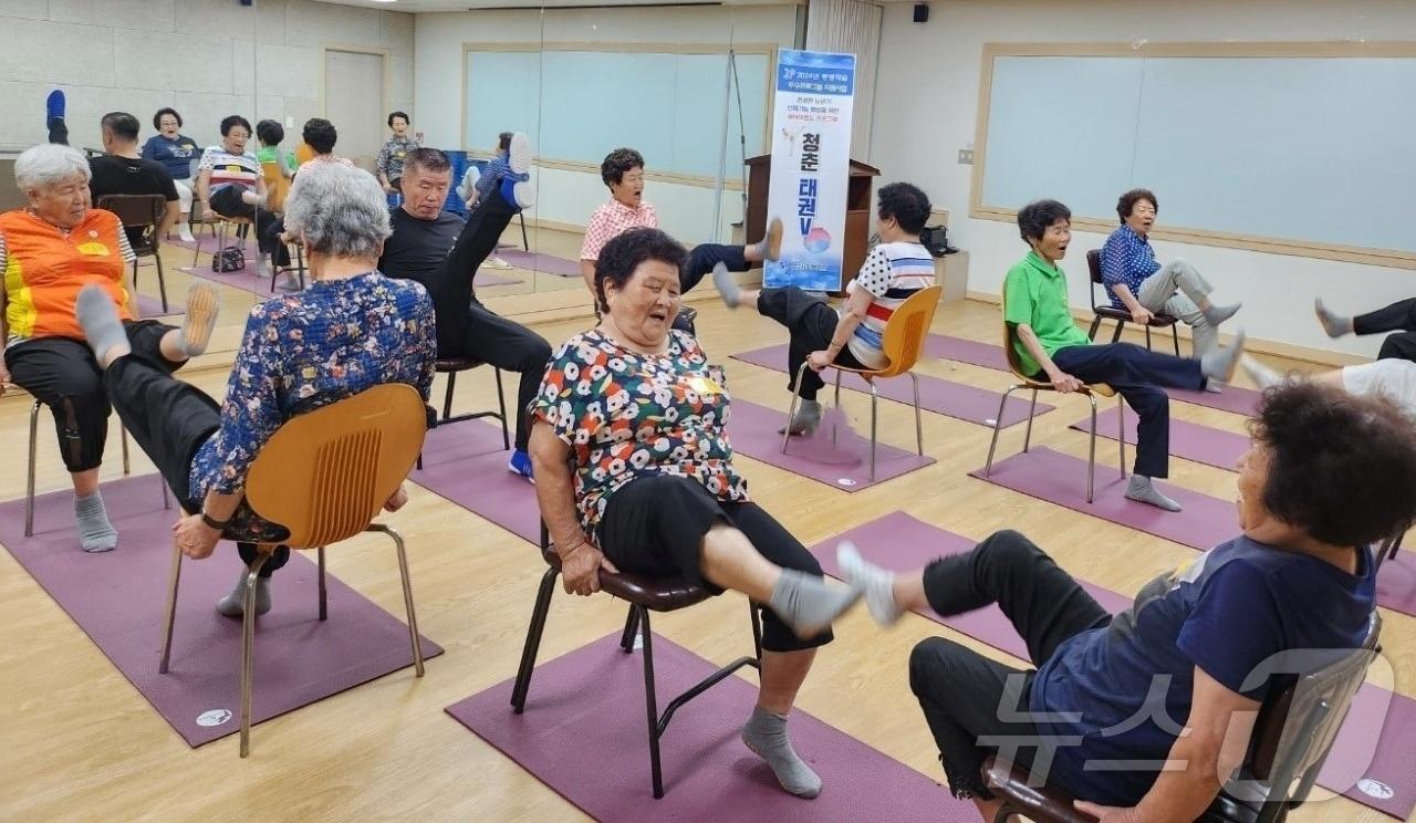 본문 이미지 - 증평군 청춘태권V 평생학습 프로그램/뉴스1