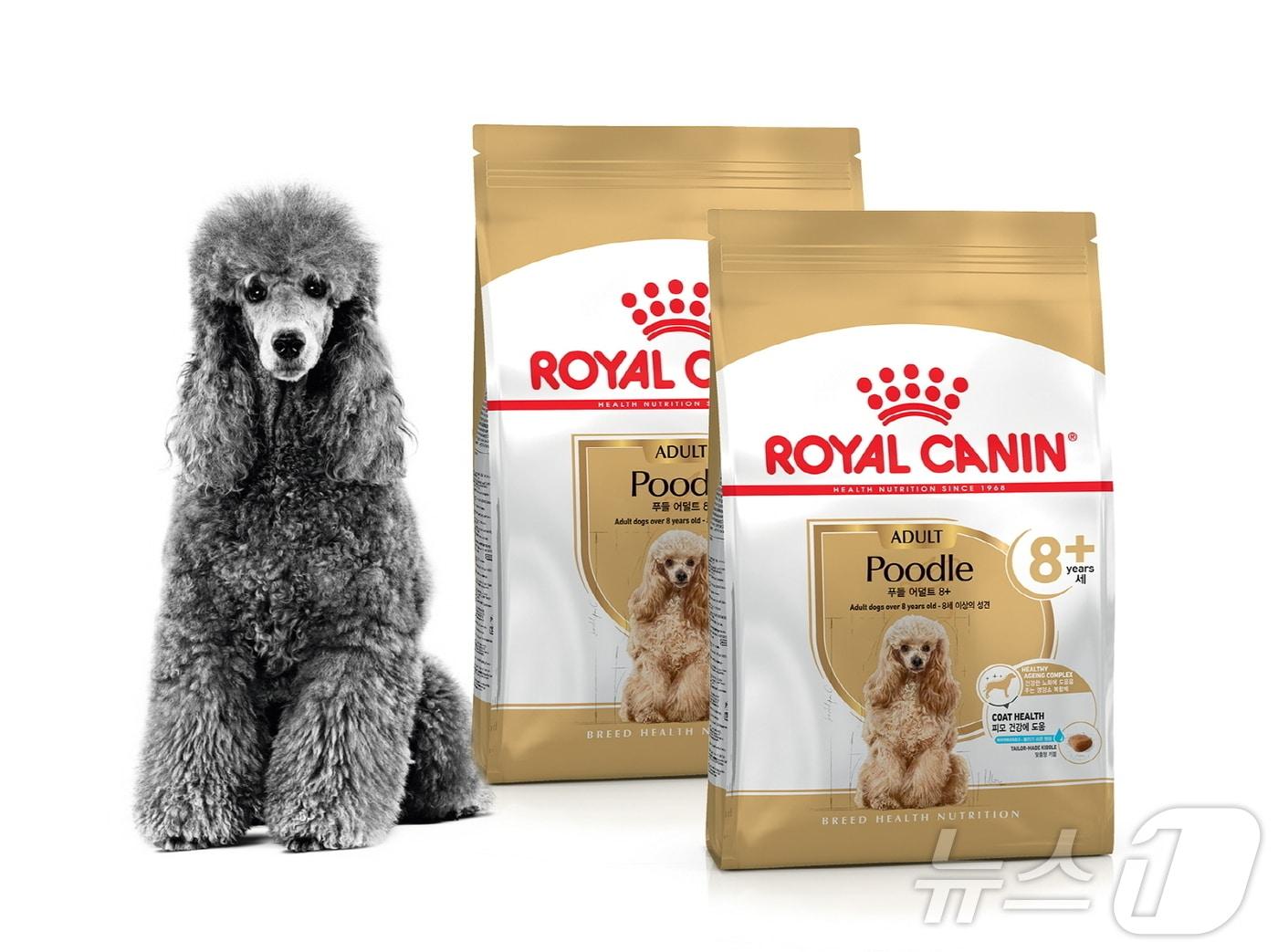 본문 이미지 - 푸들 어덜트 8+ 사료&#40;로얄캐닌 제공&#41; ⓒ 뉴스1