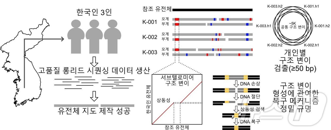 연구 모식도 (한국생명공학연구원 제공)/뉴스1