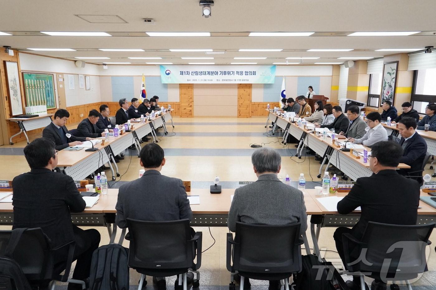 본문 이미지 - 산림청이 기후변화에 따른 고산 침엽수 멸종 등에 대응하기 위해 ‘산림생태계 기후위기 적응 협의체’를 구성해 첫 회의를 개최했다. (산림청 제공)/뉴스1