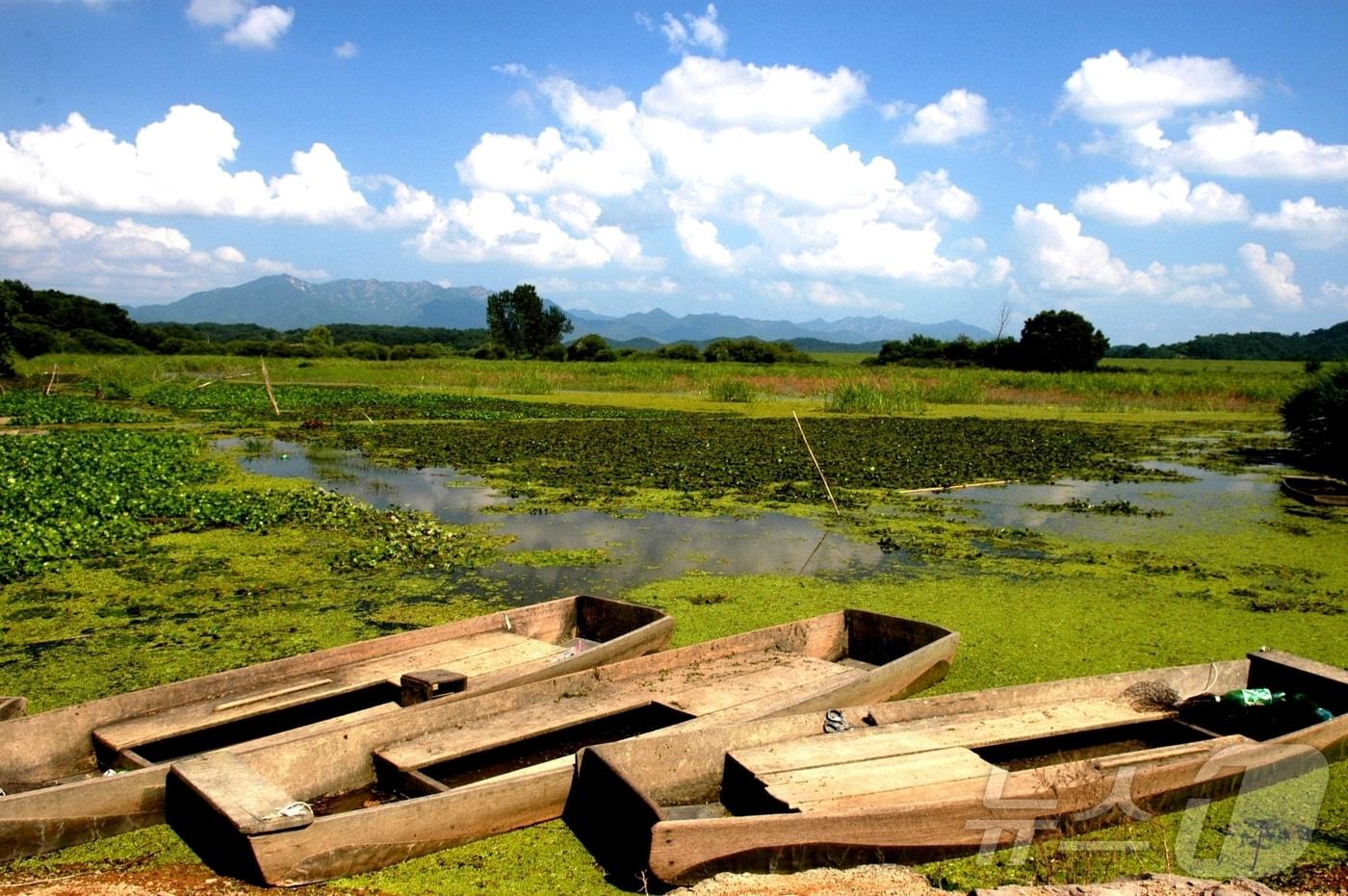 창녕군 우포늪(창녕군 제공).