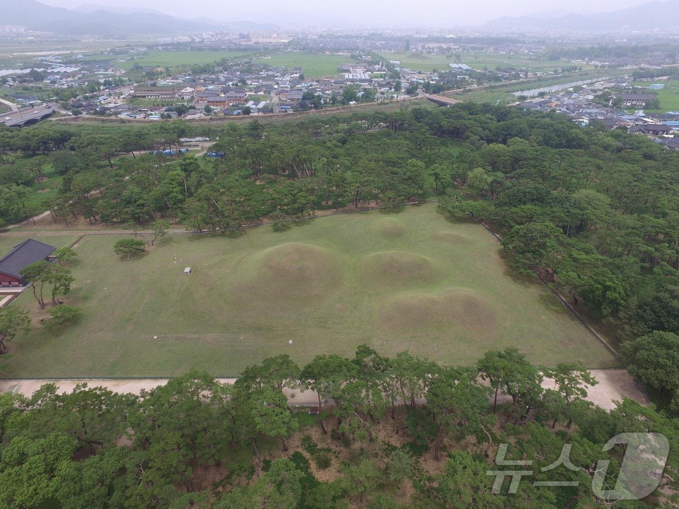 본문 이미지 - '뱀능'이라고 불리는 경주 오릉.(경북문화관광공사 제공)