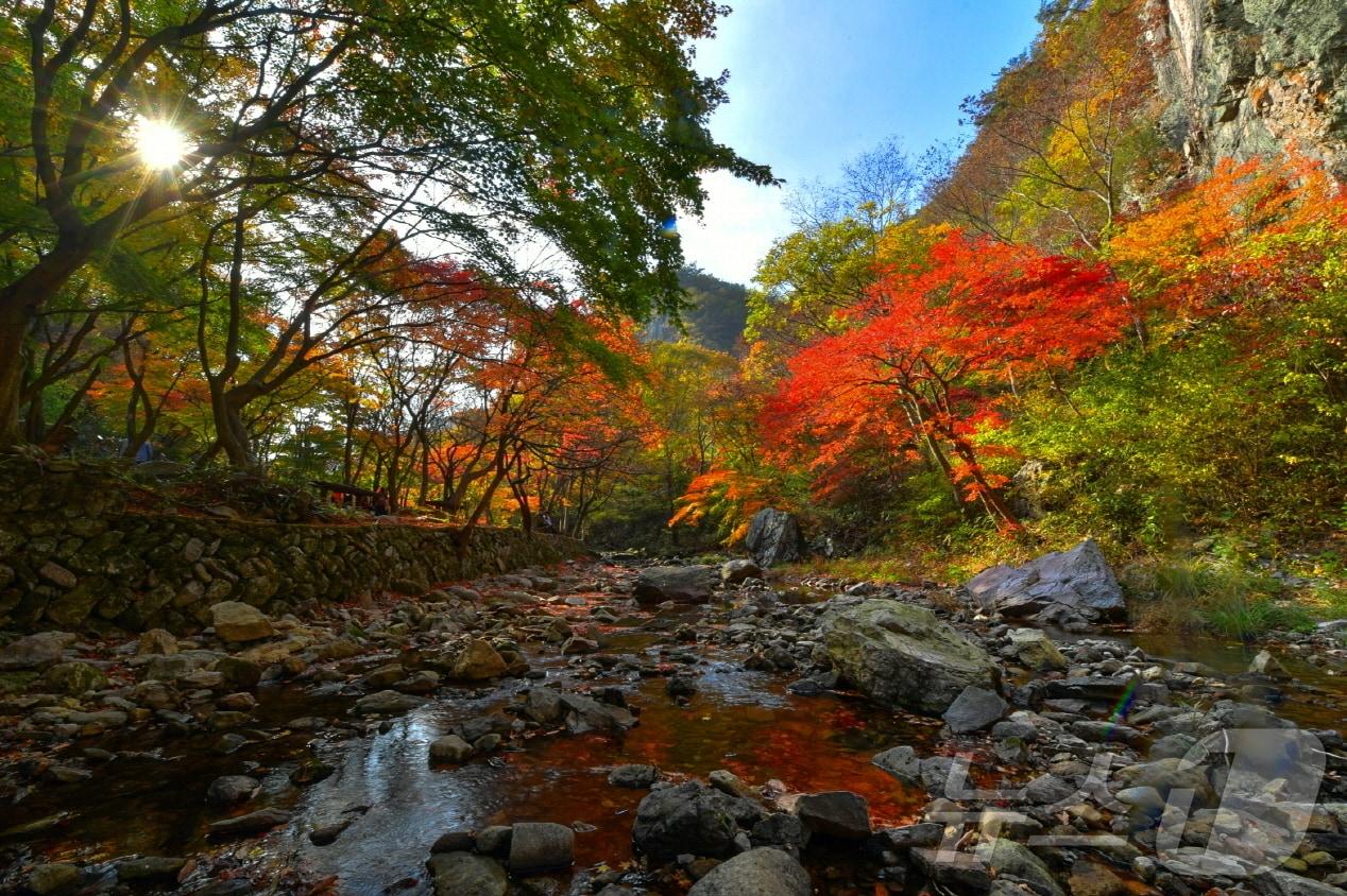 본문 이미지 - 전북 순창군 강천산군립공원 계곡.(순창군 제공)/뉴스1    