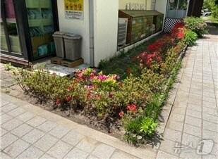 본문 이미지 - (서울 광진구 제공) 