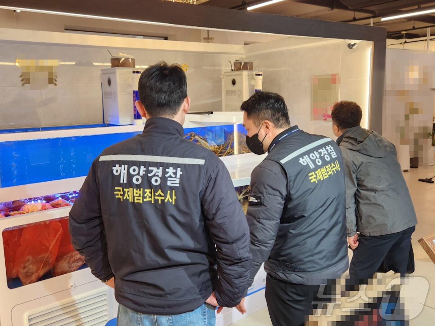 본문 이미지 - 수산물 원산지 단속하는 속초해경 경찰관.(속초해경 제공) 2025.1.21/뉴스1