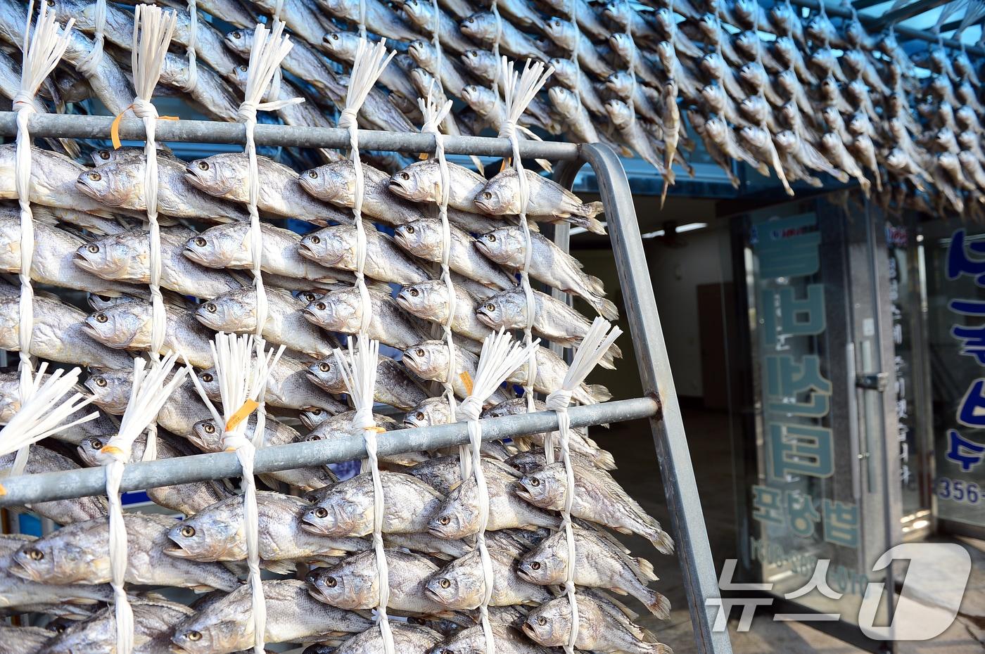 본문 이미지 - 설 명절 연휴를 사흘 앞둔 22일 전남 영광군 법성면 법성포 굴비 거리가 한산한 모습을 보이고 있다. 2025.1.22/뉴스1 ⓒ News1 이승현 기자