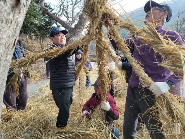 본문 이미지 - 함평 연천마을 당산제 모시기.(전남도 제공) 2025.1.22/뉴스1
