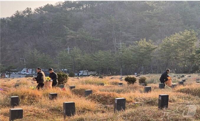 본문 이미지 - 부산영락공원에서 부산시설공단 관계자, 노인일자리 사업 참여자들이 플라스틱 조화를 수거하고 있다.(부산시 제공)