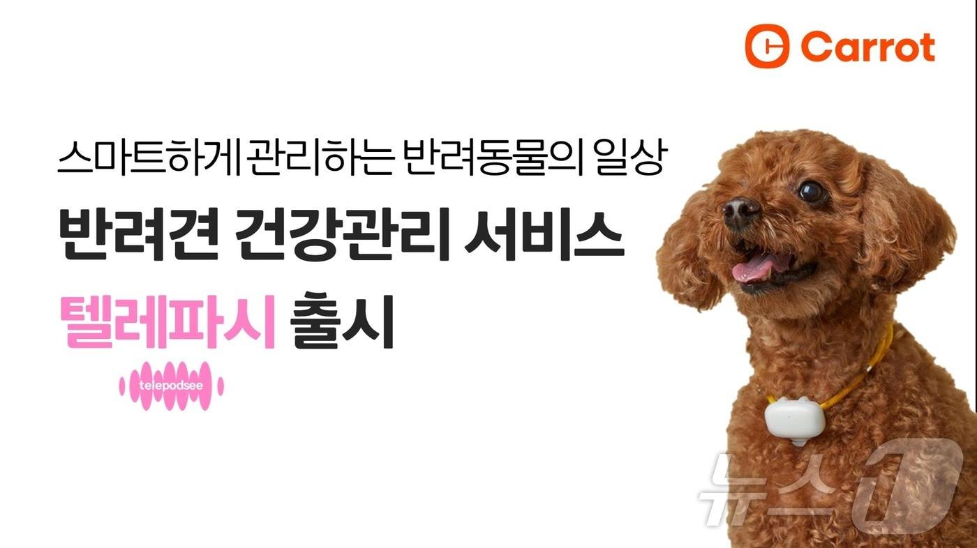 캐롯, 데이터 기반 반려견 건강관리 서비스 텔레파시 출시/사진제공=캐롯